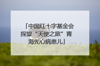 中国红十字基金会探望“天使之旅”青海先心病患儿