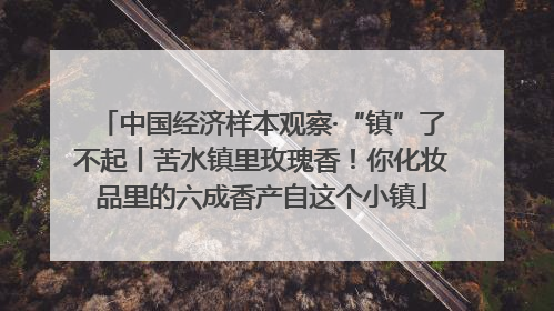 中国经济样本观察·“镇”了不起丨苦水镇里玫瑰香！你化妆品里的六成香产自这个小镇