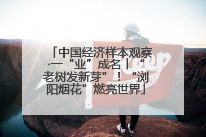 中国经济样本观察·一“业”成名丨“老树发新芽”！“浏阳烟花”燃亮世界