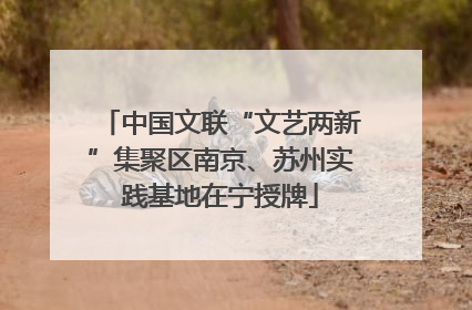 中国文联“文艺两新”集聚区南京、苏州实践基地在宁授牌