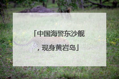 中国海警东沙舰，现身黄岩岛