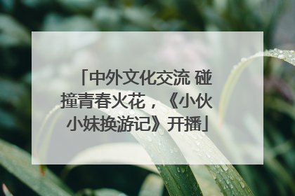 中外文化交流 碰撞青春火花，《小伙小妹换游记》开播