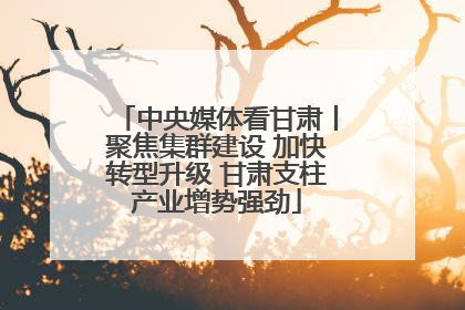 中央媒体看甘肃丨聚焦集群建设 加快转型升级 甘肃支柱产业增势强劲