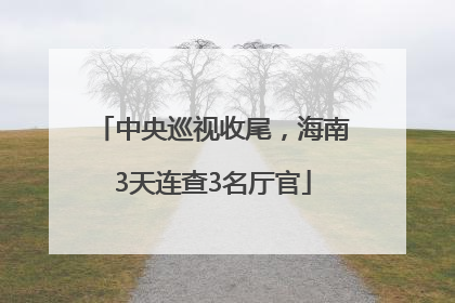 中央巡视收尾，海南3天连查3名厅官