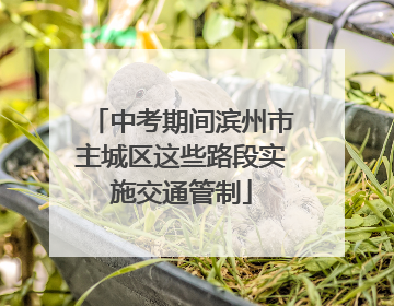 中考期间滨州市主城区这些路段实施交通管制