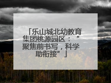 乐山城北幼教育集团桃源园区：“聚焦前书写，科学助衔接”