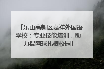 乐山高新区嘉祥外国语学校：专业技能培训，助力棍网球扎根校园