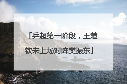 乒超第一阶段，王楚钦未上场对阵樊振东