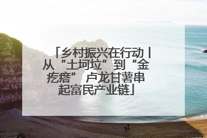 乡村振兴在行动丨从“土坷垃”到“金疙瘩” 卢龙甘薯串起富民产业链