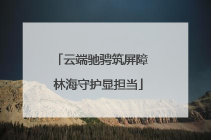 云端驰骋筑屏障 林海守护显担当