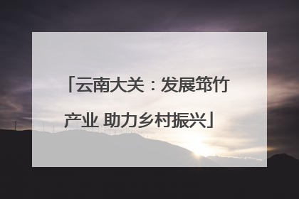 云南大关：发展筇竹产业 助力乡村振兴