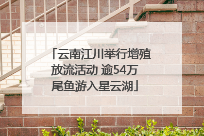 云南江川举行增殖放流活动 逾54万尾鱼游入星云湖