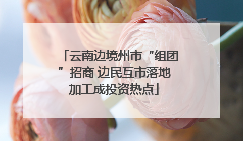 云南边境州市“组团”招商 边民互市落地加工成投资热点