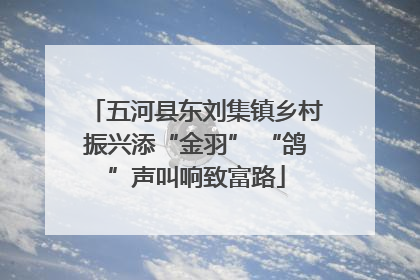 五河县东刘集镇乡村振兴添“金羽” “鸽”声叫响致富路