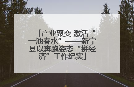 产业聚变 激活“一池春水”——新宁县以奔跑姿态“拼经济”工作纪实