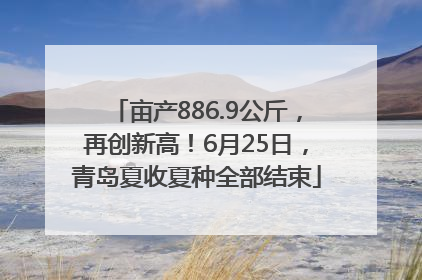 亩产886.9公斤，再创新高！6月25日，青岛夏收夏种全部结束
