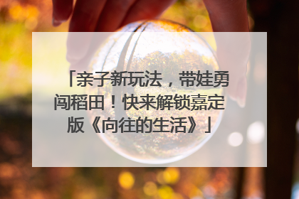 亲子新玩法,带娃勇闯稻田!快来解锁嘉定版《向往的生活》