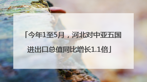 今年1至5月，河北对中亚五国进出口总值同比增长1.1倍