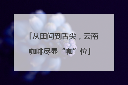 从田间到舌尖，云南咖啡尽显“咖”位