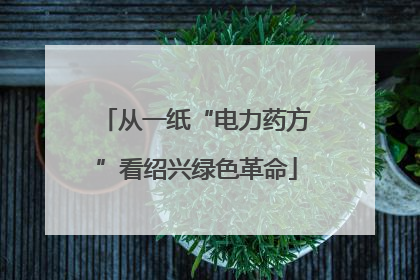 从一纸“电力药方”看绍兴绿色革命