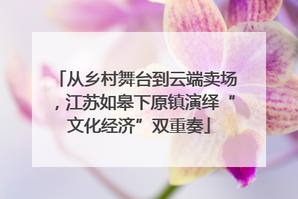 从乡村舞台到云端卖场，江苏如皋下原镇演绎“文化经济”双重奏
