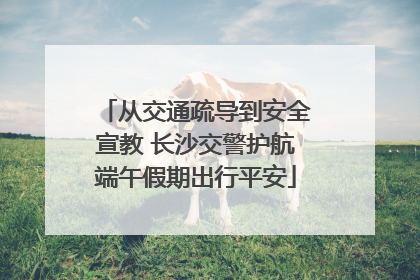 从交通疏导到安全宣教 长沙交警护航端午假期出行平安