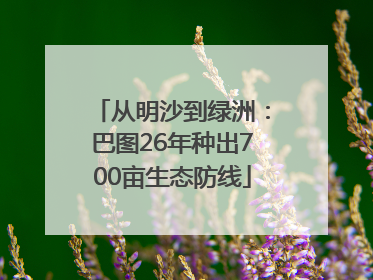 从明沙到绿洲：巴图26年种出700亩生态防线