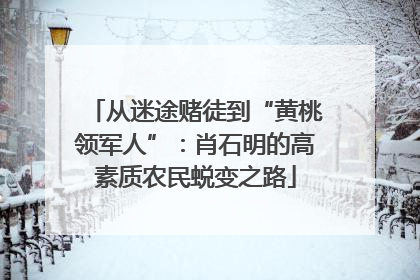 从迷途赌徒到“黄桃领军人”：肖石明的高素质农民蜕变之路