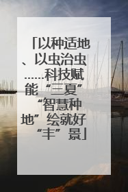 以种适地、以虫治虫……科技赋能“三夏” “智慧种地”绘就好“丰”景