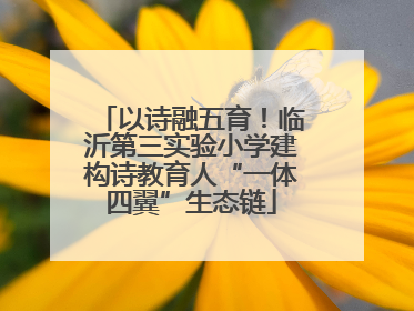 以诗融五育！临沂第三实验小学建构诗教育人“一体四翼”生态链