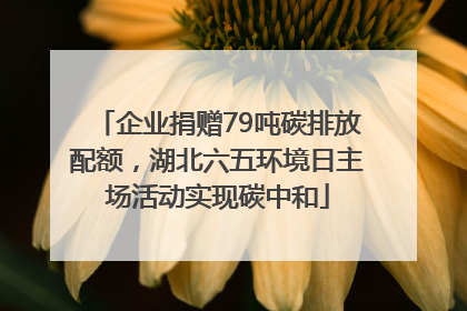 企业捐赠79吨碳排放配额，湖北六五环境日主场活动实现碳中和