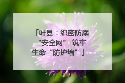 叶县：织密防溺“安全网” 筑牢生命“防护墙”