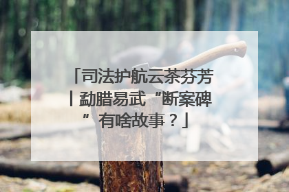 司法护航云茶芬芳丨勐腊易武“断案碑”有啥故事？