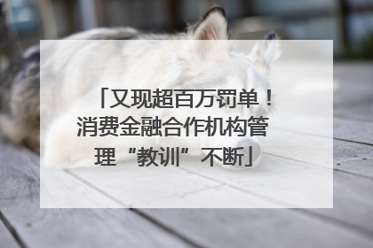 又现超百万罚单！消费金融合作机构管理“教训”不断
