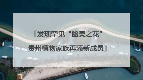 发现罕见“幽灵之花” 贵州植物家族再添新成员