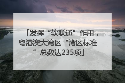 发挥“软联通”作用，粤港澳大湾区“湾区标准”总数达235项