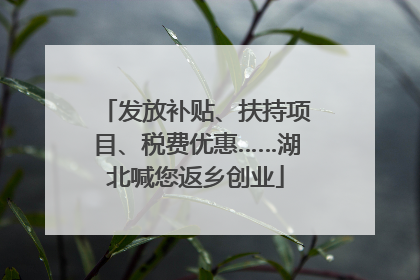 发放补贴、扶持项目、税费优惠……湖北喊您返乡创业
