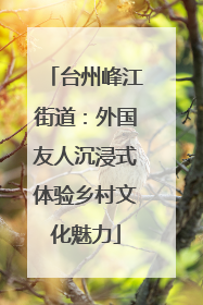 台州峰江街道：外国友人沉浸式体验乡村文化魅力