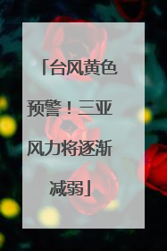 台风黄色预警！三亚风力将逐渐减弱