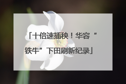 十倍速插秧！华容“铁牛”下田刷新纪录