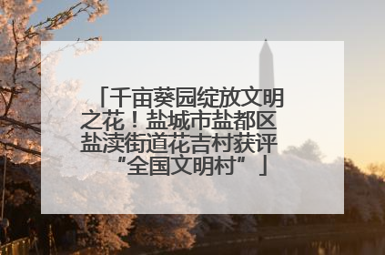 千亩葵园绽放文明之花！盐城市盐都区盐渎街道花吉村获评“全国文明村”