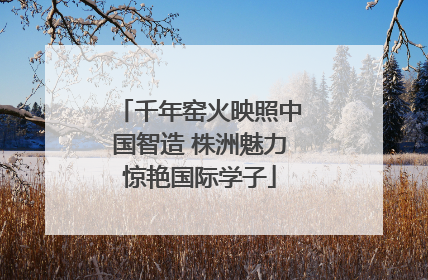千年窑火映照中国智造 株洲魅力惊艳国际学子