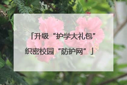 升级“护学大礼包”织密校园“防护网”