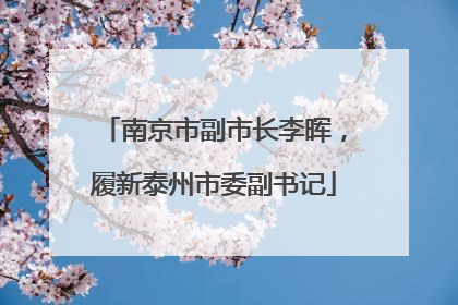 南京市副市长李晖，履新泰州市委副书记