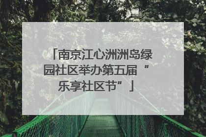 南京江心洲洲岛绿园社区举办第五届“乐享社区节”