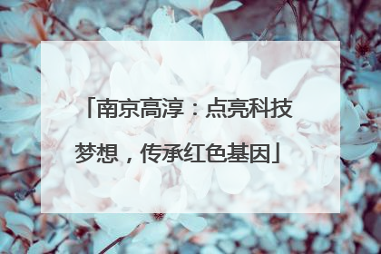 南京高淳：点亮科技梦想，传承红色基因