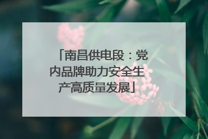 南昌供电段：党内品牌助力安全生产高质量发展