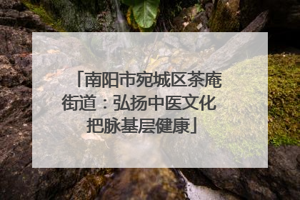 南阳市宛城区茶庵街道：弘扬中医文化 把脉基层健康