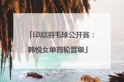 印尼羽毛球公开赛：韩悦女单首轮晋级