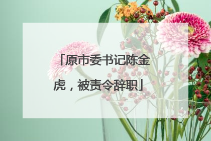 原市委书记陈金虎，被责令辞职